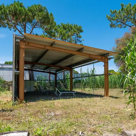 Appartement La Dolce 6 - L'oranger Borgo (Corsica)